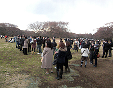 震災直後の代々木公園