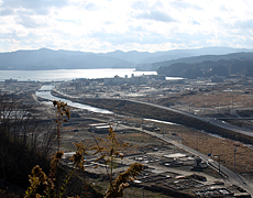 南三陸町志津川地区